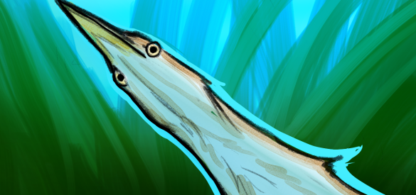 Ghost in the Reeds